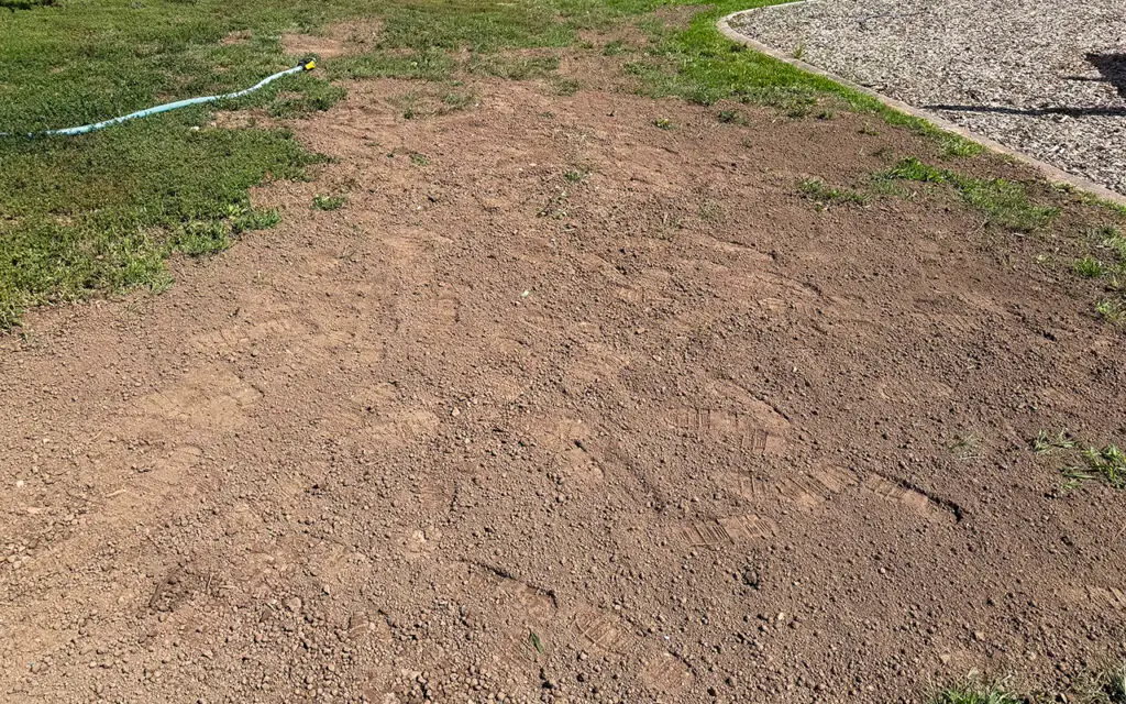Hydroseed patchwork repairing bare spots in a residential lawn in Green Bay, Wisconsin